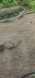 Sapehra