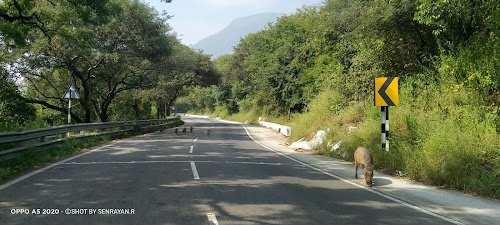 Sathyamangalam