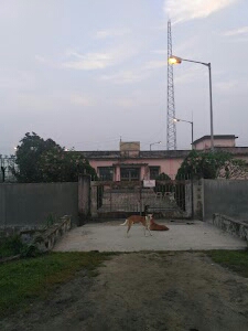 Fatapukur 33/11 KV Sub Station