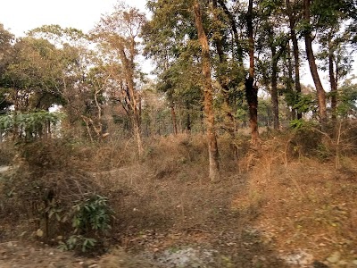 Dhulagaon