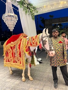 Kapashera