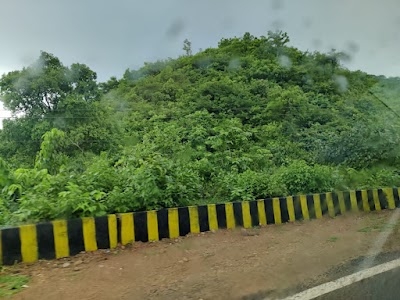 Batia Forest