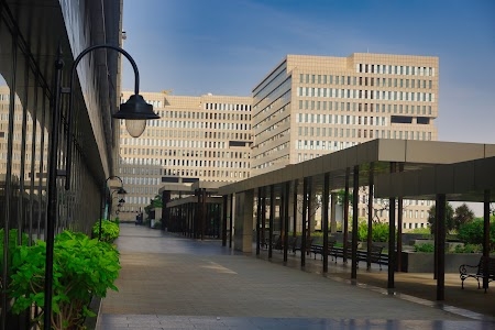Ramanujan IT City