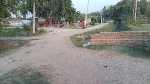 Gaju