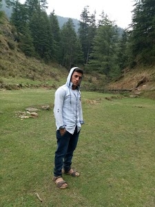 J and K Forest