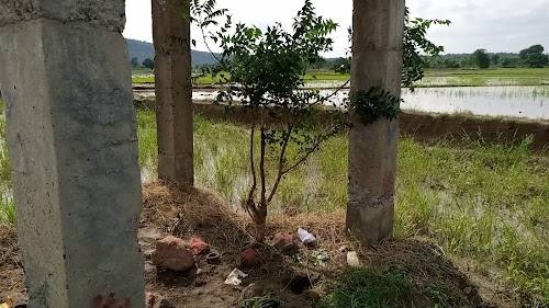 Sri Muthyalamma Temple