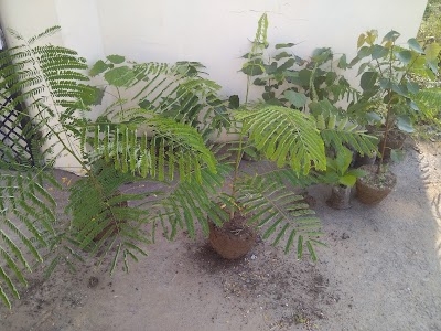दक्षिणी सूर्य मंदिर