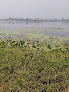 Saheb Bandh Lake