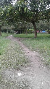 Kashimpur