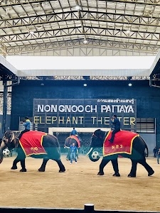 Nong Nooch Pattaya Elephant Theater