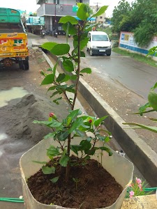 Singapore Nagar