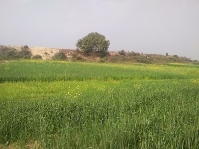 Bargadwa