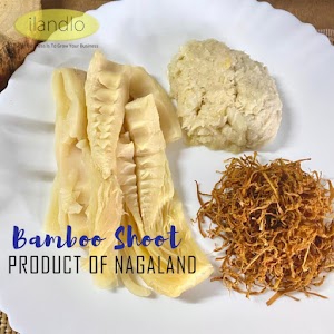 ilandlo Services Pvt. Ltd