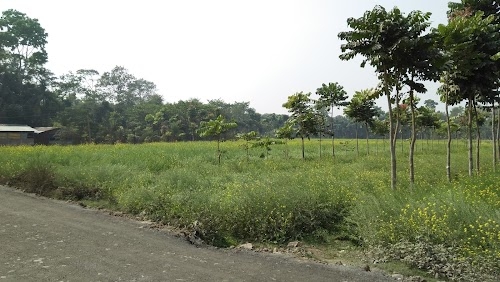 Silinda