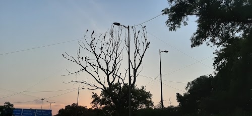 Nizamuddin West