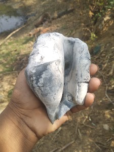 Chandua