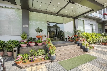 Treebo Trend GK Conifer - Hotel in Dharamshala