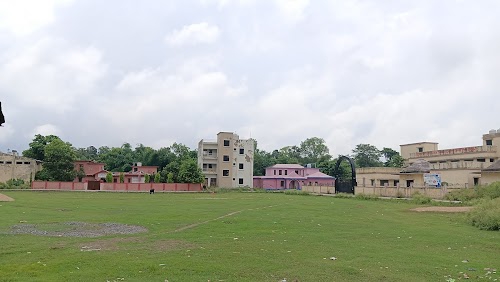Bisfi Block