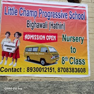Little Champ progressive school