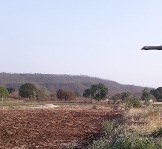 मंदीर