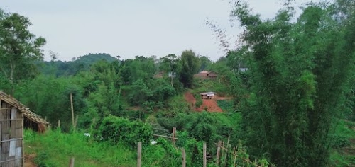 Lamalong
