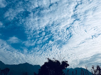 Sula park