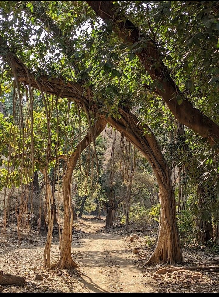 Satpura