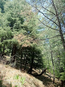 Sauaakandha treck shansher