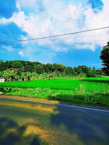 Gadamarahat