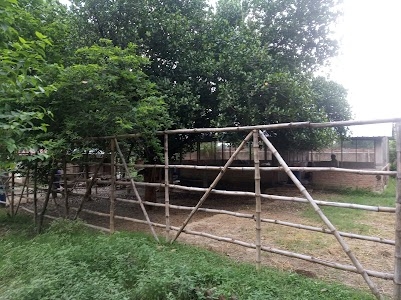 Sai Baba School, Bhrigupuram - Chaktala