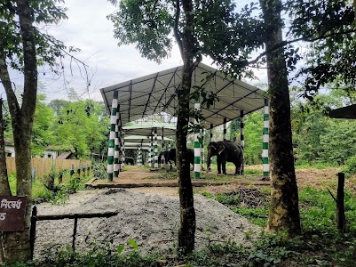 DHUPJHORA ELEPHANT CAMP & GACHH BARI (TREE HUT)