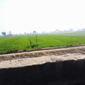 KAMRANIYA