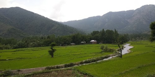 Heewan