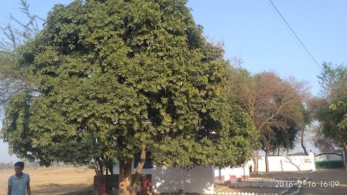 Kajiyar High School