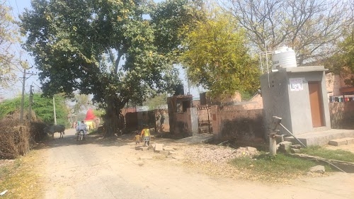 Darana