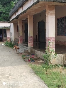 Jaypur Up School