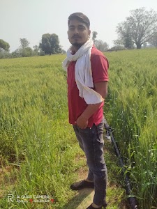 Halle Ka Pura