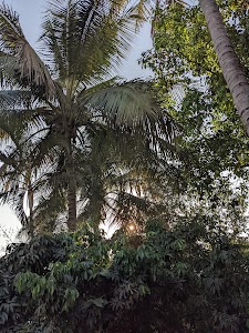 Vidyanagar