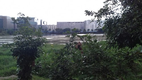 Kalinga Junior College