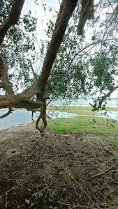 Vedduk Kulam