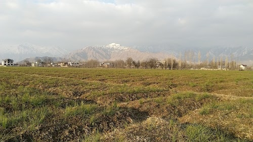 Cricket Stadium