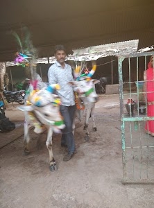 जमुनिया खुर्द इंदौर मध्य प्रदेश विनोद गुर्जर दूध डेयरी