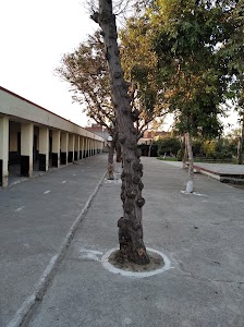 Government Senior Secondary School