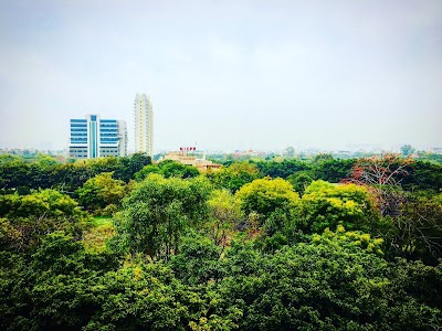 Noida city center