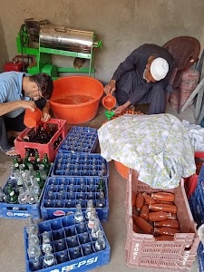 Evergreen Juices, Warpora Sopore