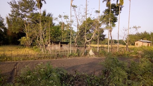 Khanpara L.P School