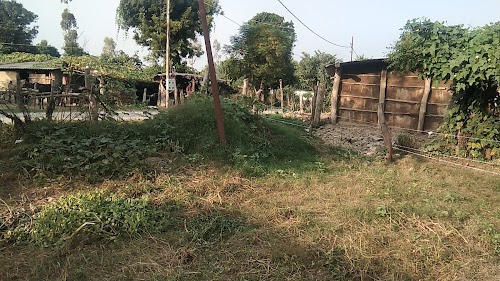 Nai basti
