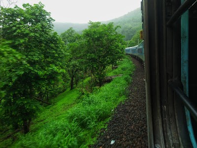 Bhimkothi