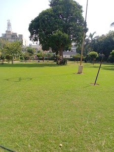 Morning Walk Park
