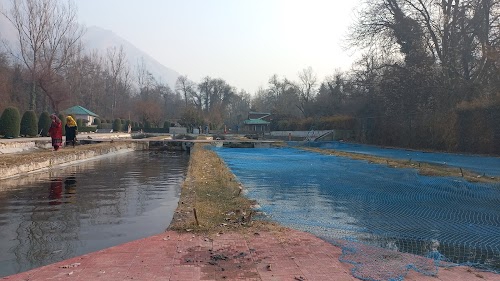 Department of Fisheries